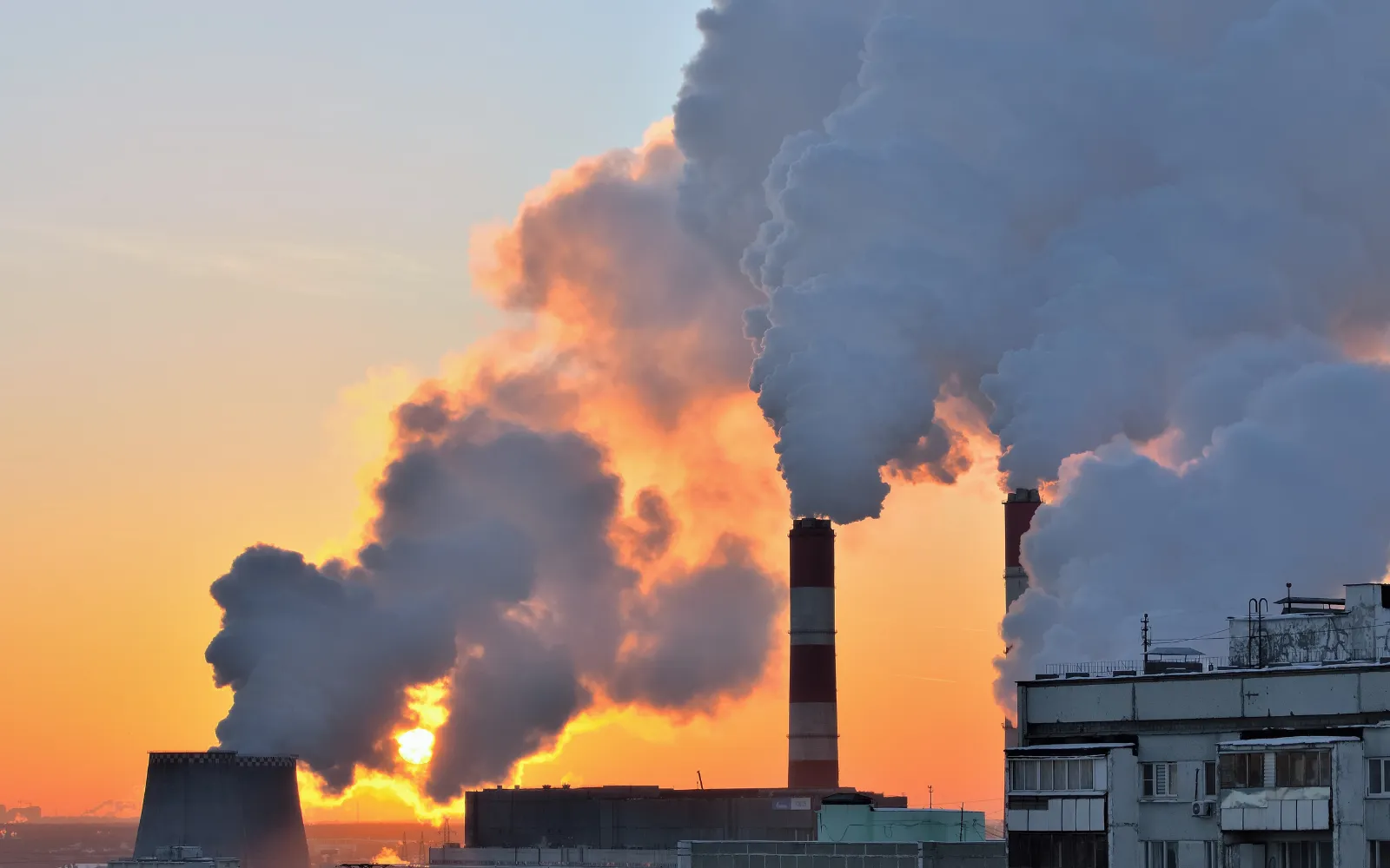 Responsabilidad Penal Ambiental: Defensa en Casos de Daño Ecológico