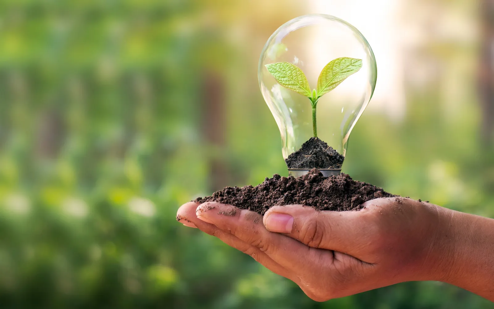 Defensa de Proyectos Empresariales frente a Objeciones Ambientales