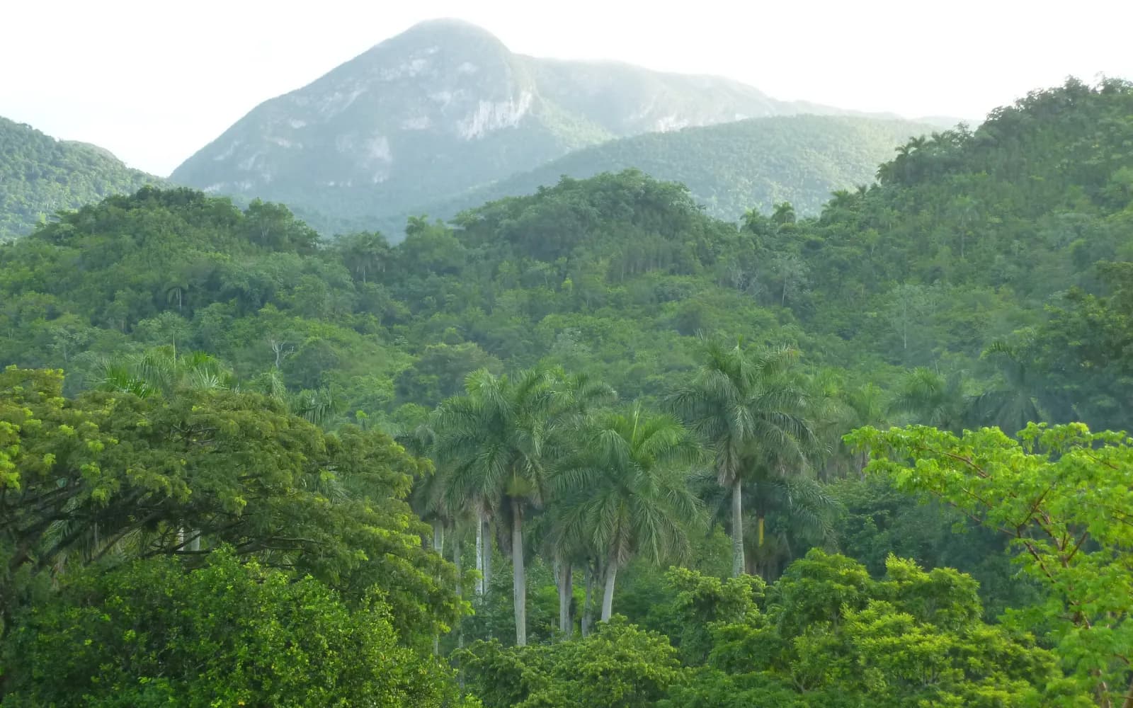 Impugnación de Autorizaciones Ambientales: Defensa de Proyectos Sostenibles