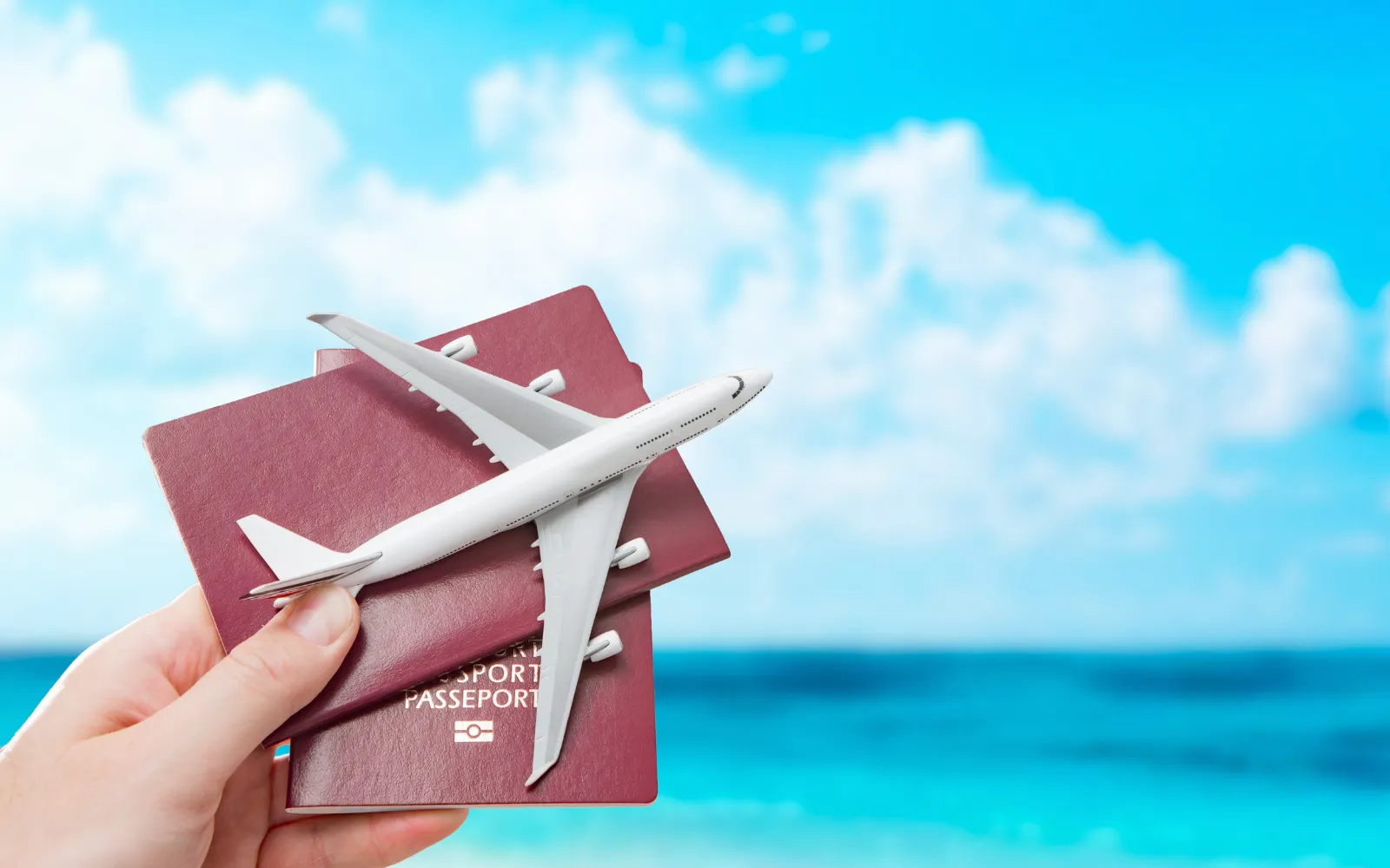 Programas de Retorno Voluntario: Guía Completa para Regresar Dignamente al País de Origen