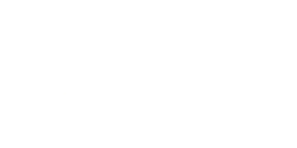 Brand Partner capitalgroup