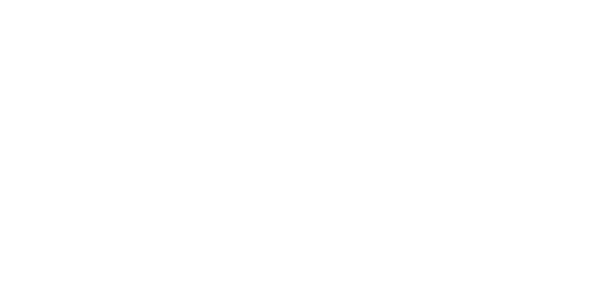 Brand Partner fidelity