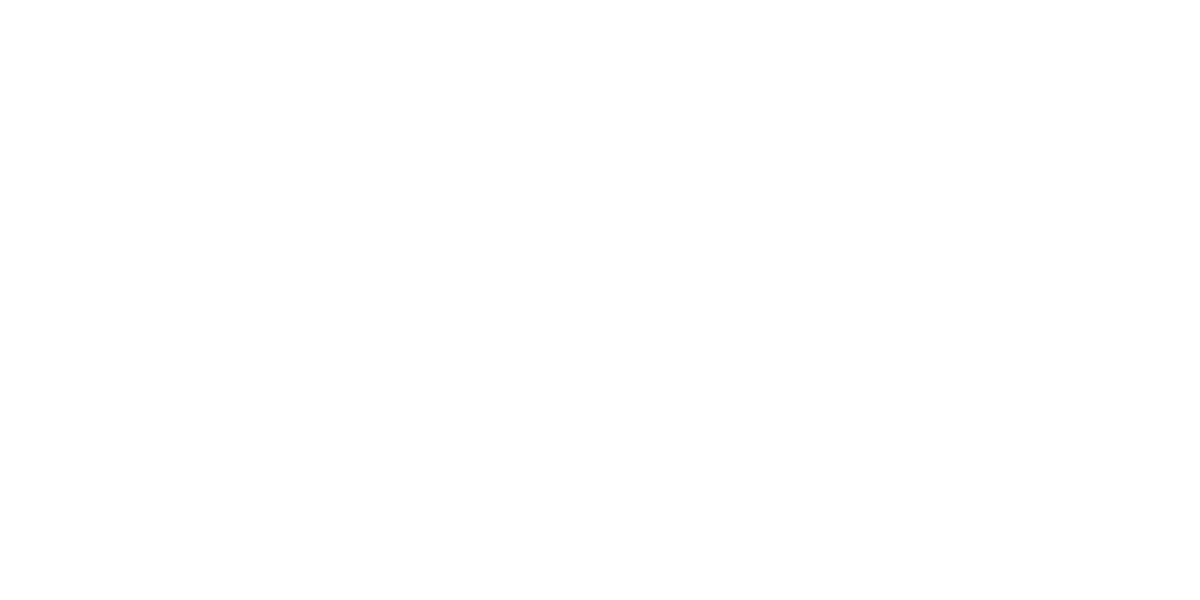 Brand Partner google