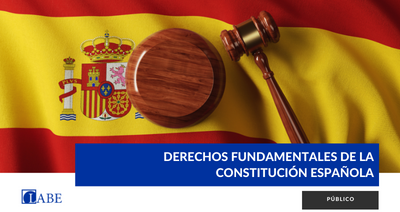 Los derechos fundamentales de la constitución española